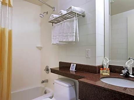 1 King Bed Non-Smoking