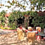 The Mandore - a leafy resort
