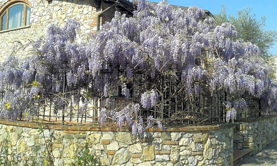 Pietra E Glicine B&B