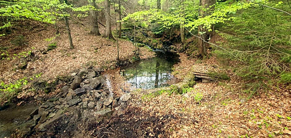 Domki Brenna Leśnica