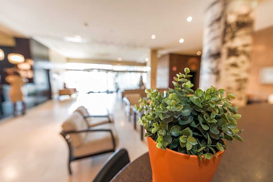 Hotel Mercader