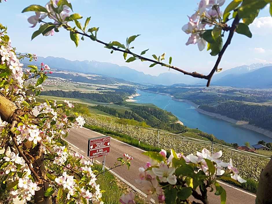 Casa Vacanze Piè di Castello