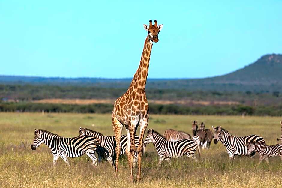 Die Boskamp Self-Catering Bush Retreat