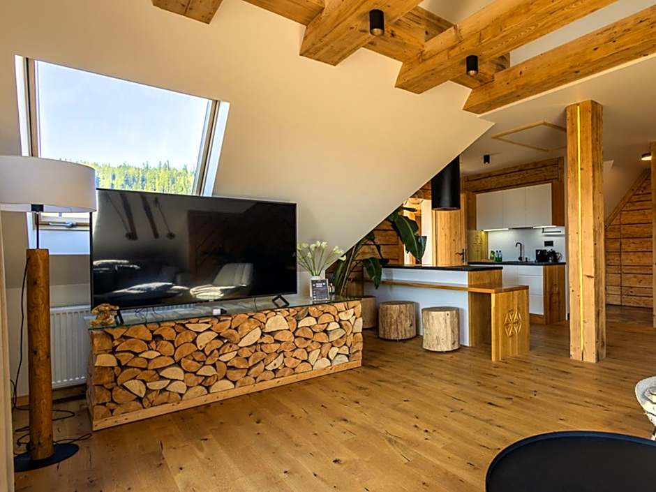 Apart H900 - Zakopane Tatra View