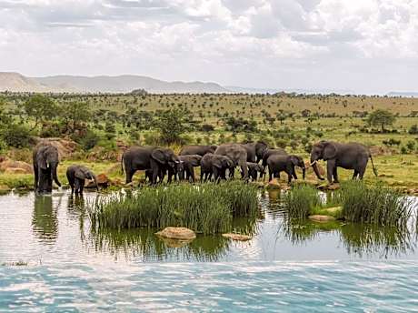 Four Seasons Safari Lodge Serengeti Tanzania