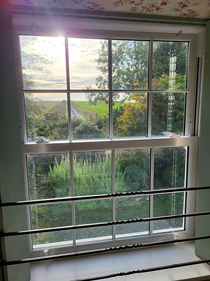 The Green Door Vegan B&B