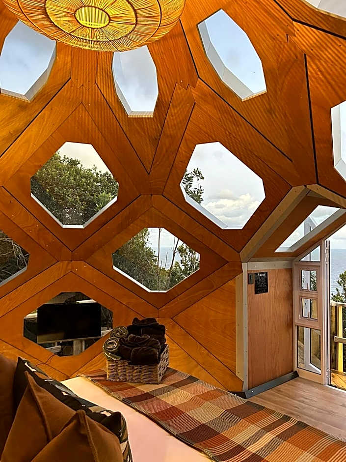 The Hive - Jungle at Misty Mountain Reserve