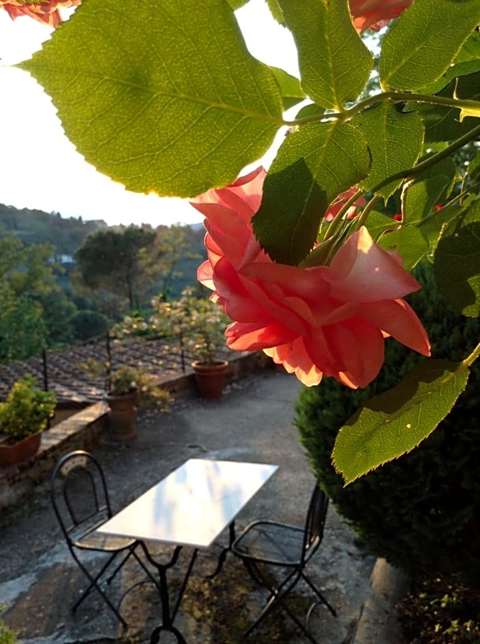 Fiesole in Giardino B&B