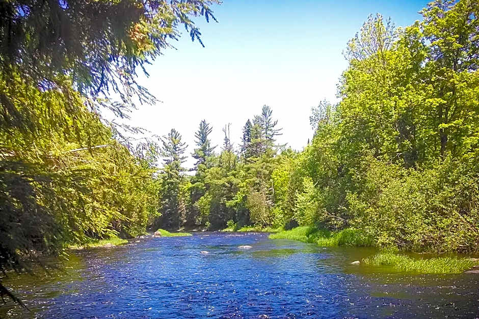 North Ironwood Acres - Black River Lodge