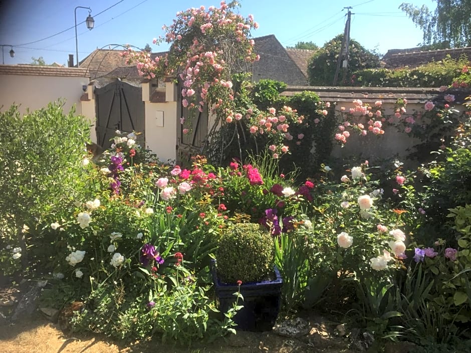 Les Prémices De La Forêt