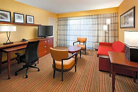 Suite, 1 King Bed with Sofa bed (1 King Bed and 1 Double Sofa Bed)