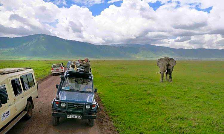 New Charity Hotel International