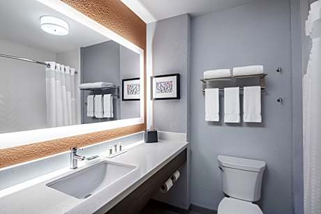 1 King Bed Standard Sofa Bed