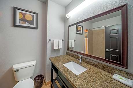 King Studio Suite - Mobility Access/Non-Smoking