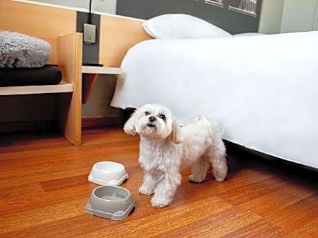 DOUBLE - Standard Room with 1 bed, for 1 or 2 people