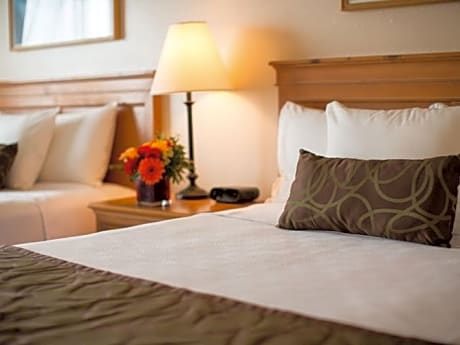 Double two queen beds