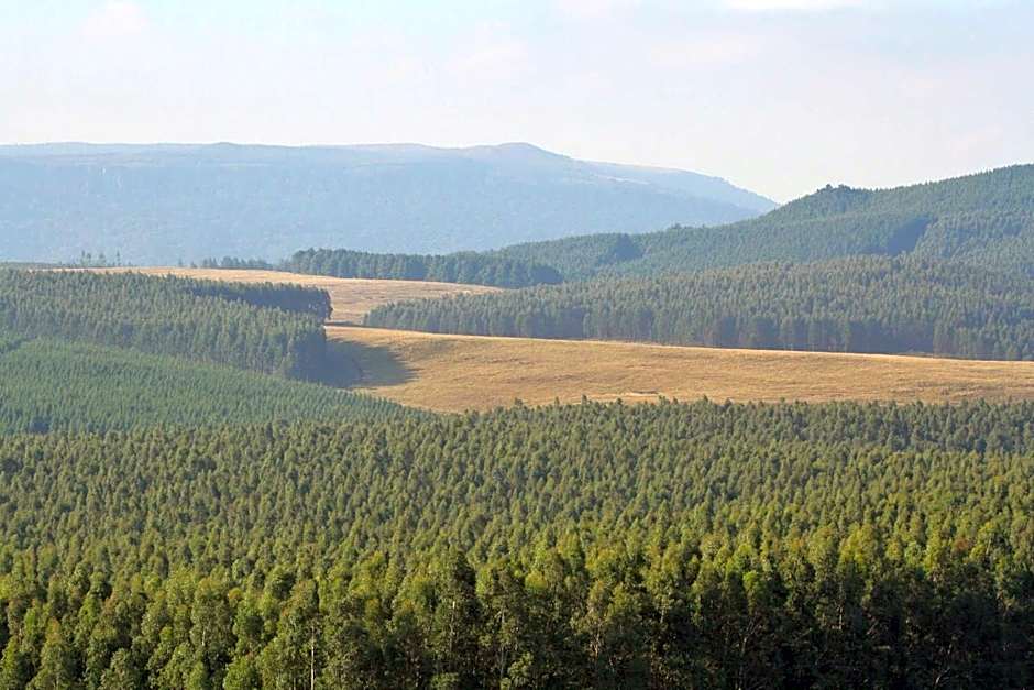 Curry's Post Bed & Breakfast