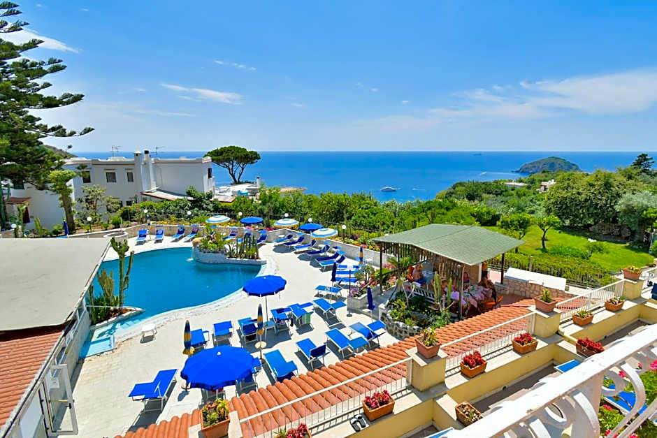 Photo 1 of 48 of Hotel Terme Saint Raphael