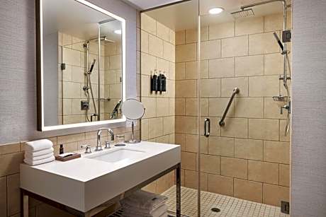 Traditional, Guest room, 1 King