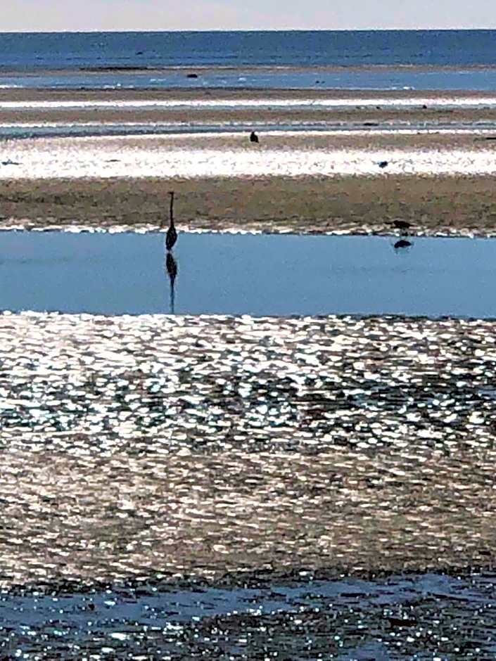 The Station House Motel