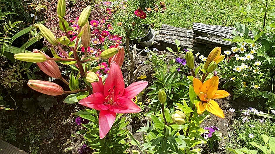 Century House B & B flatlette