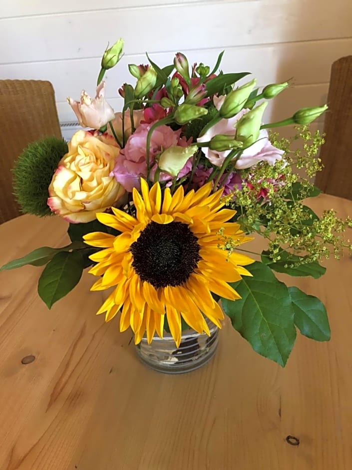 Bed & Breakfast Zevenhuizen