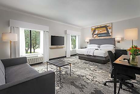 King Suite - Accessible