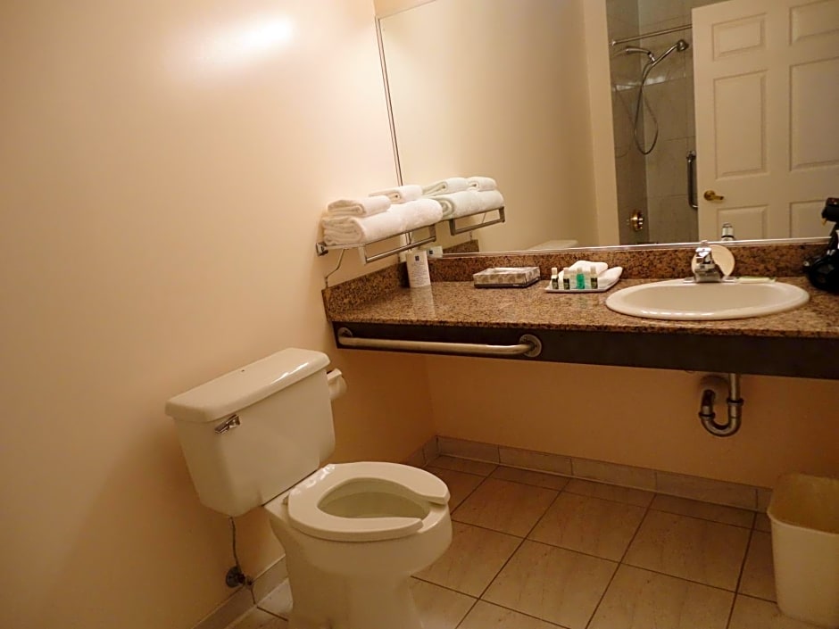 Rosedale on Robson Suite Hotel