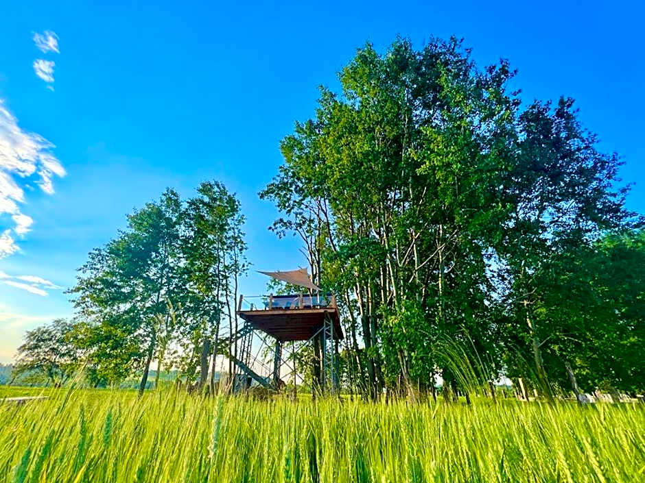Zelený ostroff Treehouse