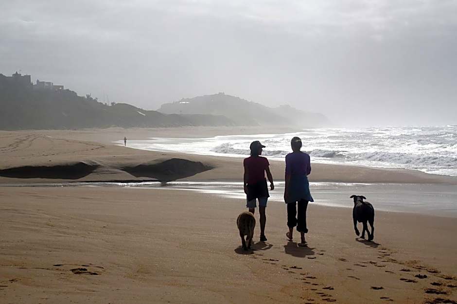 The Pink Lodge on The Beach