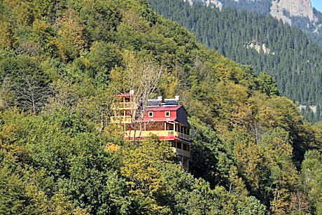 Triple Room with View