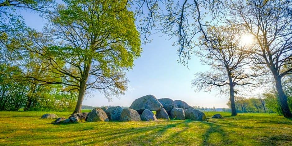 Luxe Natuurhuisje met jacuzzi en haard in Drenthe, ECHTEN