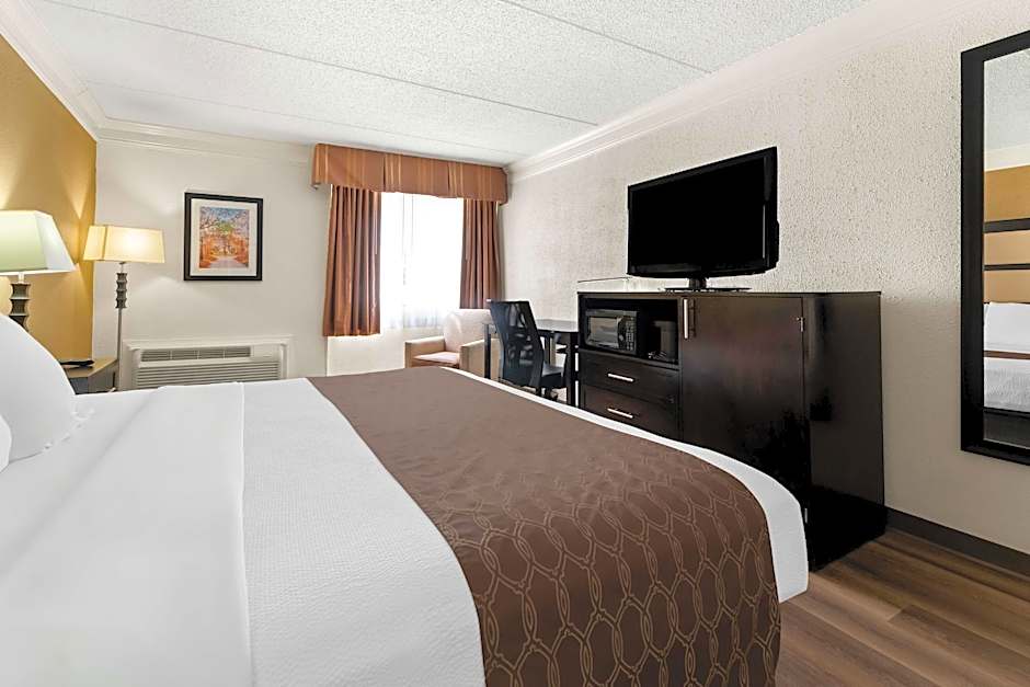 Photo 1 of 8 of 1 King Bed, Mobility Accessible, Roll in Shower