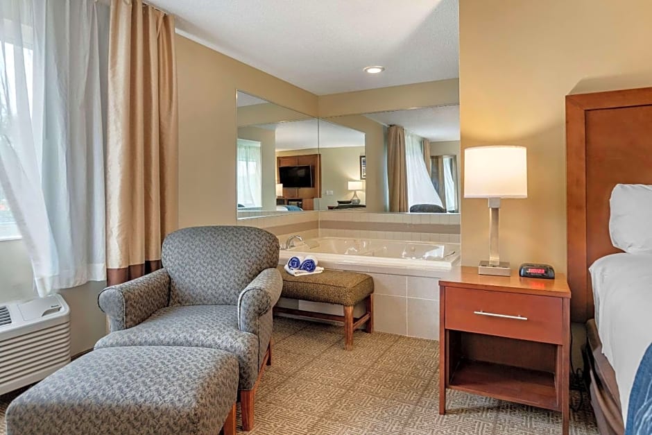 Comfort Inn & Suites Dimondale