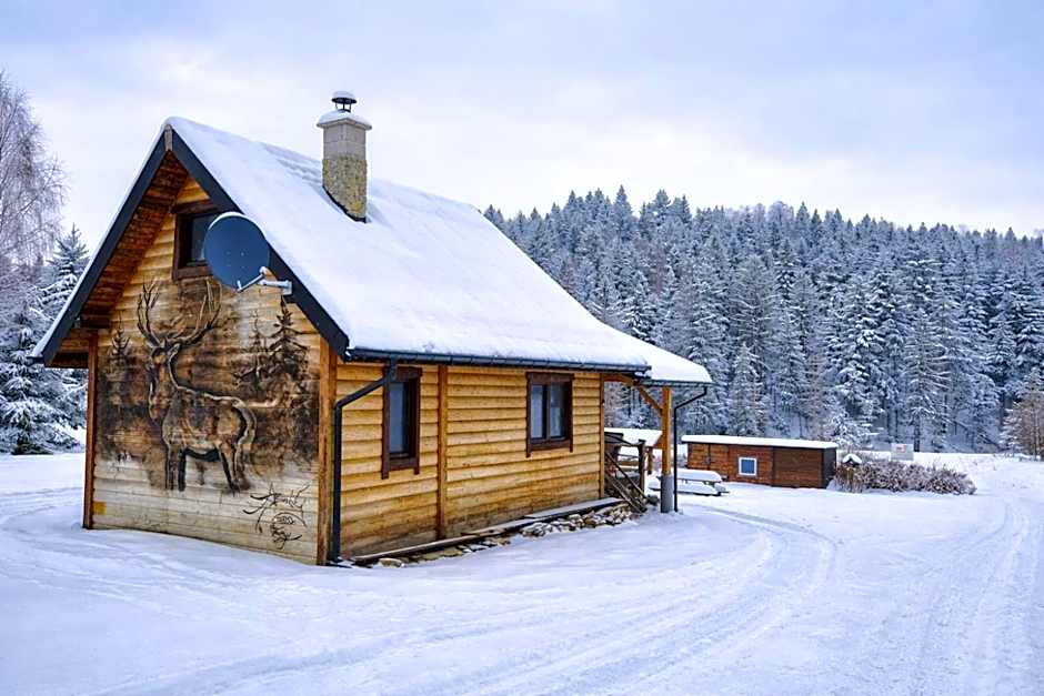 Chata Umilajka Bieszczady