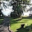Ciliks Beach Garden