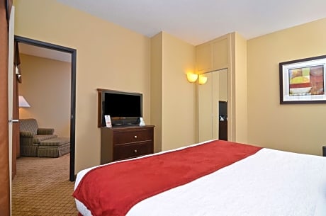 Accessible - 1 King - Mobility Accessible, Roll In Shower, Microwave And Refrigerator, Wi-Fi, Non-Smoking, Full Breakfast