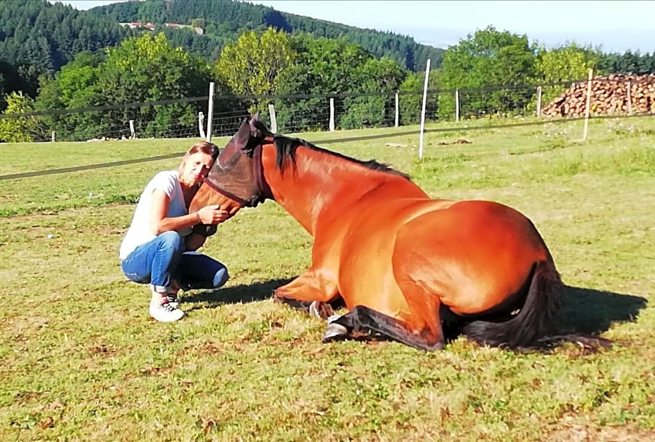Chambre d'hôte équestre Au petit bonheur