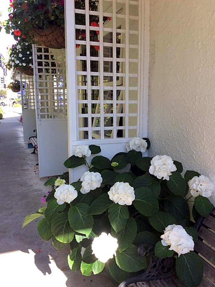 Waimarie on Riverside Motel & Apartments