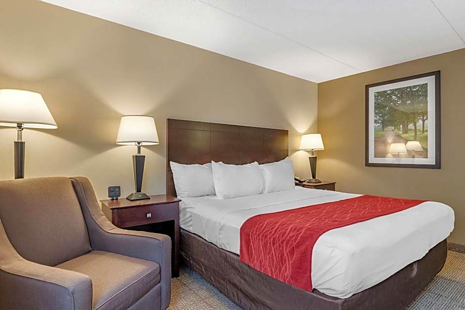 Comfort Inn Lansing West