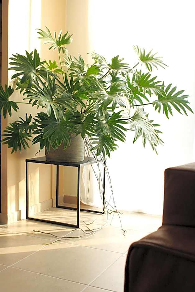 Clos de la Couturelle