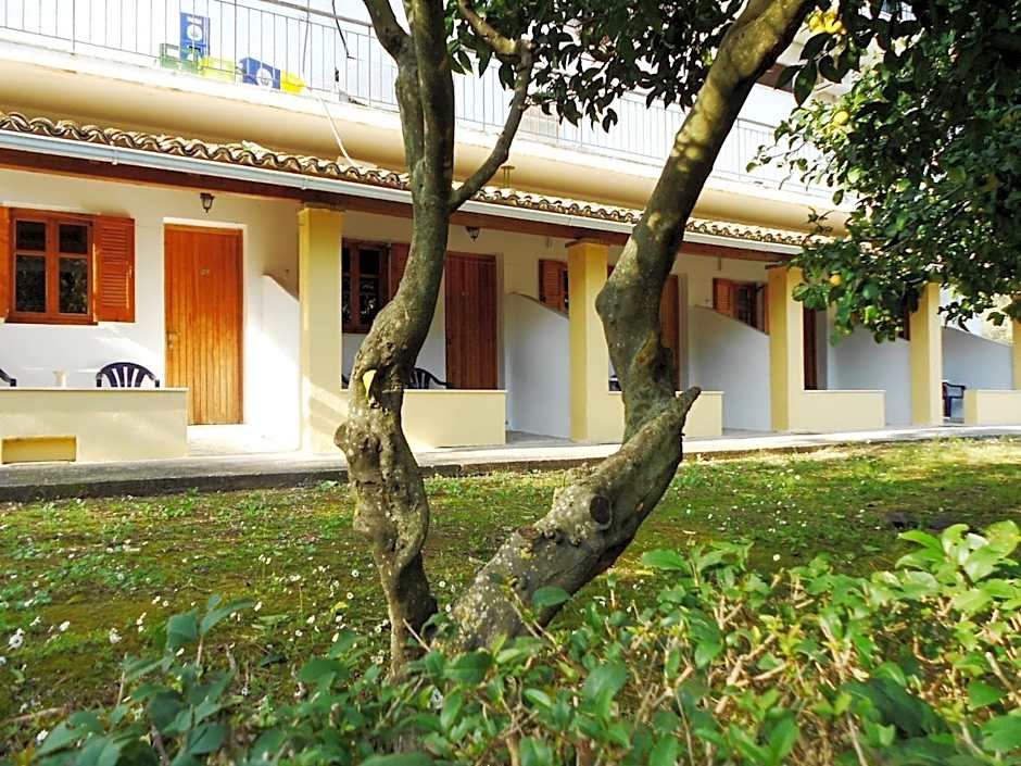 Anemona Studios