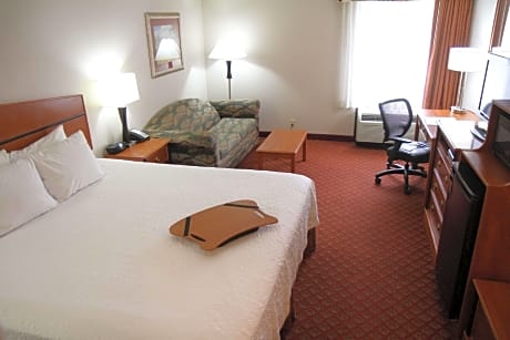 1 King Mobility/Hearing Acc Ri Shower Nosmok