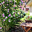 Hotel Arenas de Cabrales- apartamentos