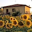 B&B Il Girasole - Rooms & House in country - air conditioned - 1500 meters from historic center