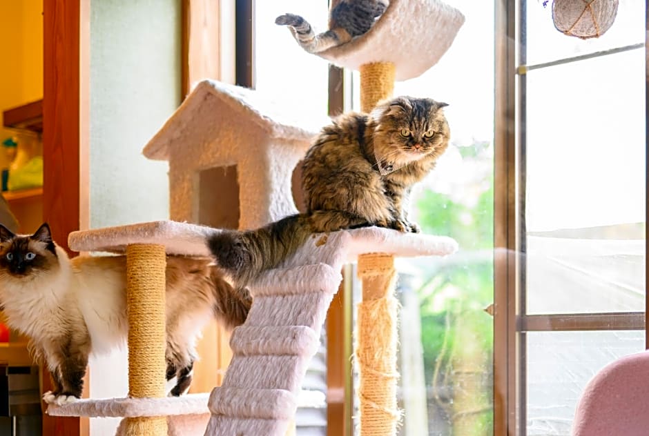 Yufuin Waraneko no Yado