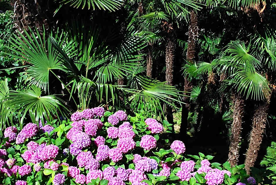 Continental Parkhotel