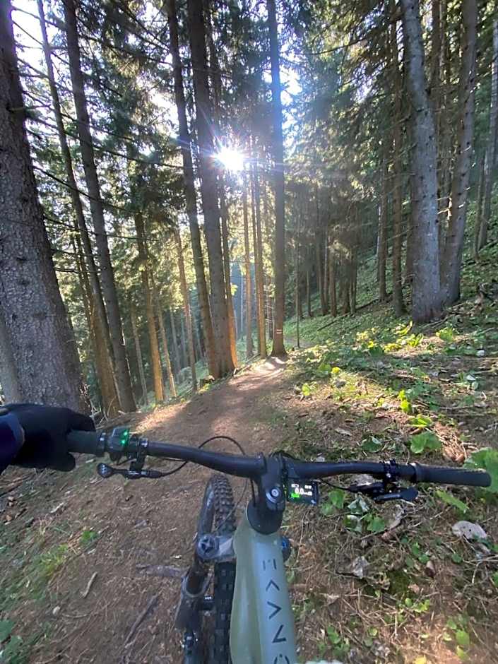 Berghotel Malixerhof