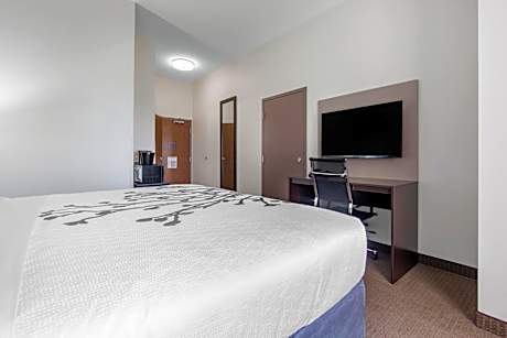 King Room - Non-Smoking