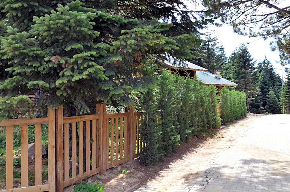 Uludag Orman Koskleri